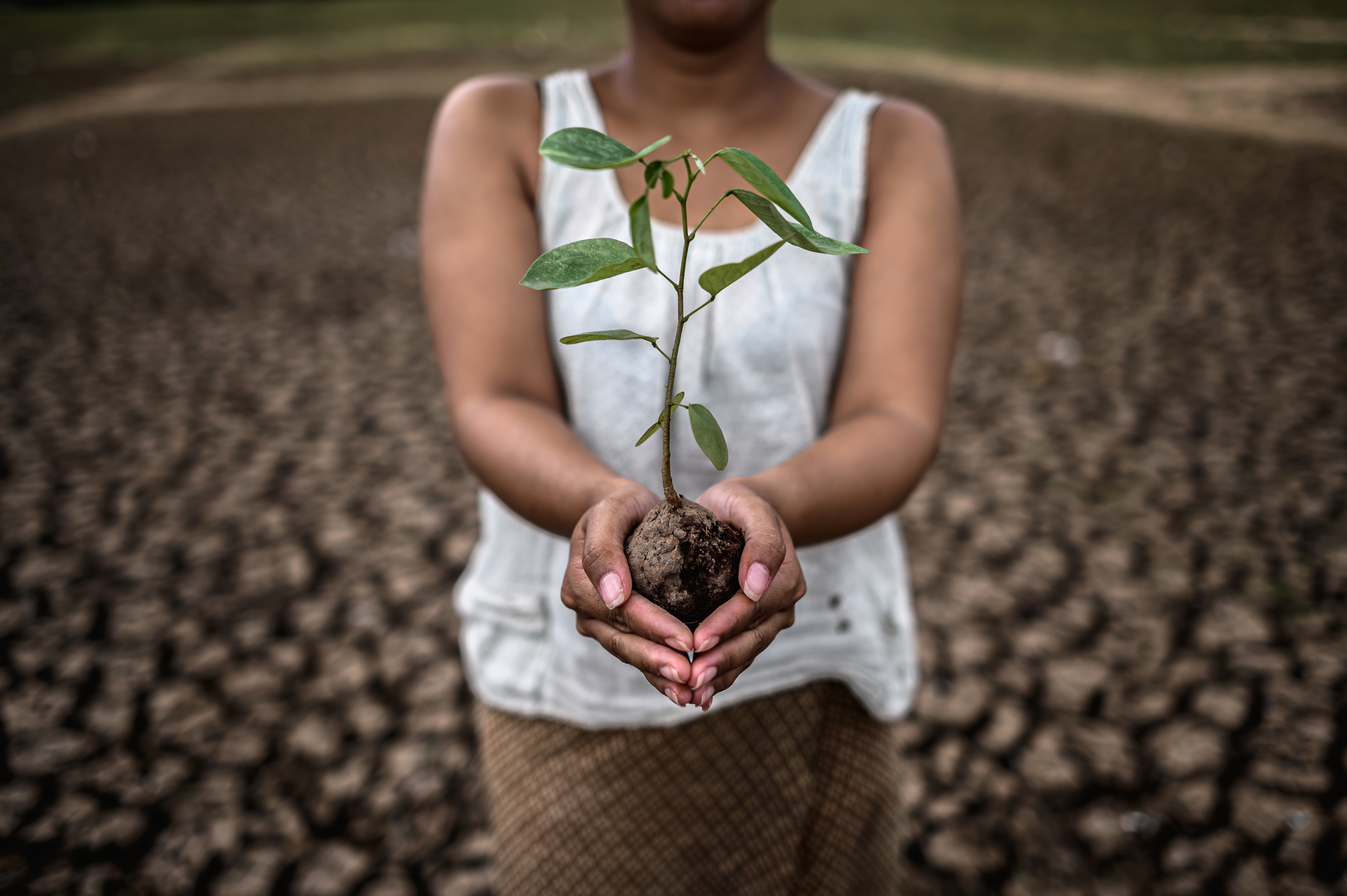 Résilience climatique